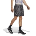 adidas Tennishose Short Club Graphicshort 7in/18cm kurz grau/schwarz Herren